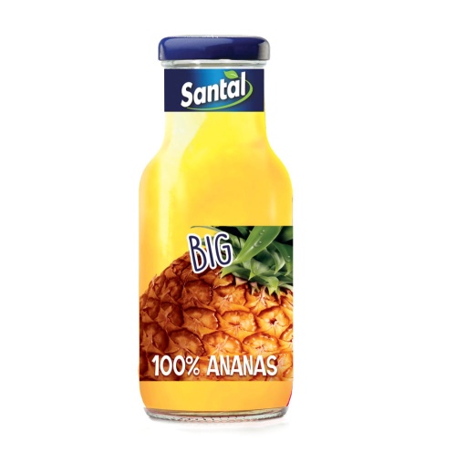 BIG_ANANAS1002.jpg